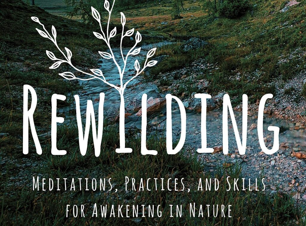 Rewild